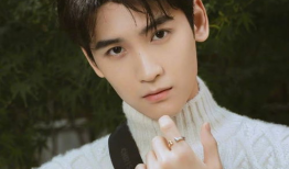 八卦吃瓜娱乐圈陈立农,陈立农的娱乐圈风云录