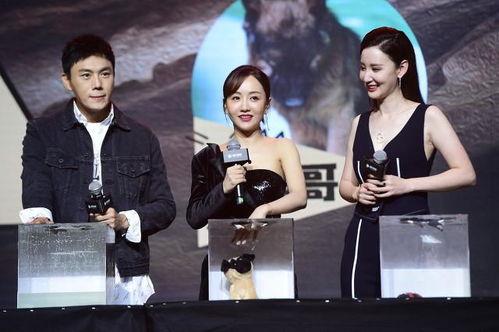 娱乐圈近期吃瓜合集